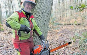 Read more about the article Mit Säge und Seilwinde: Sicher Bäume fällen im Sehlemer Wald